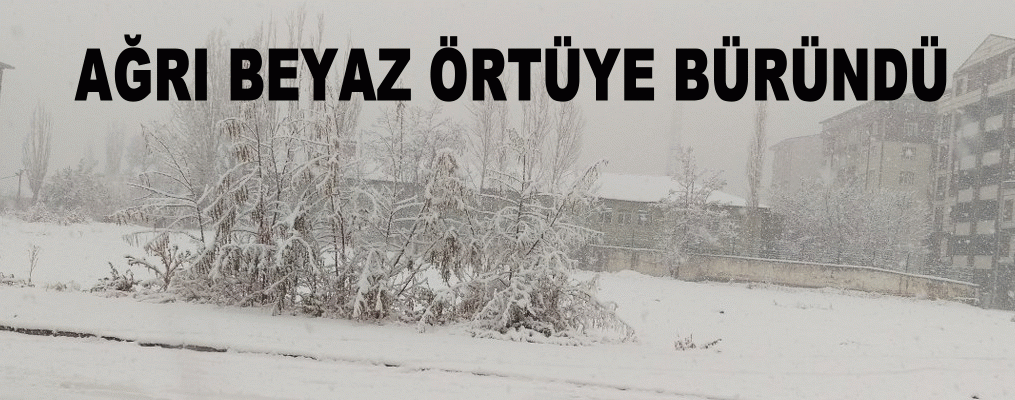 Ağrı beyaza büründü