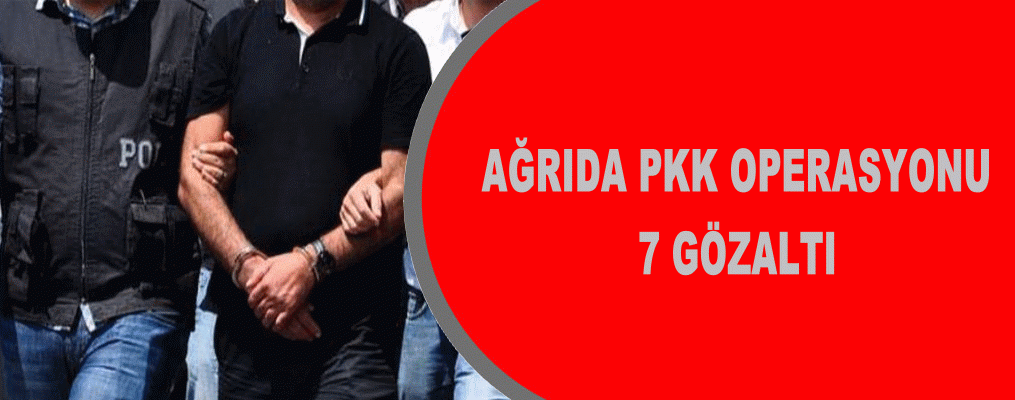 7 PKK şüphelisi gözaltına alındı
