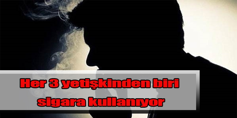 Her 3 yetişkinden biri sigara kullanıyor