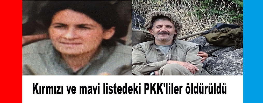 Kırmızı ve mavi listedeki PKK'liler öldürüldü