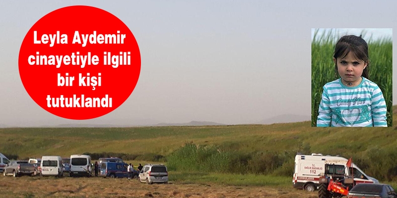 Leyla Aydemir cinayetiyle ilgili bir kişi tutuklandı