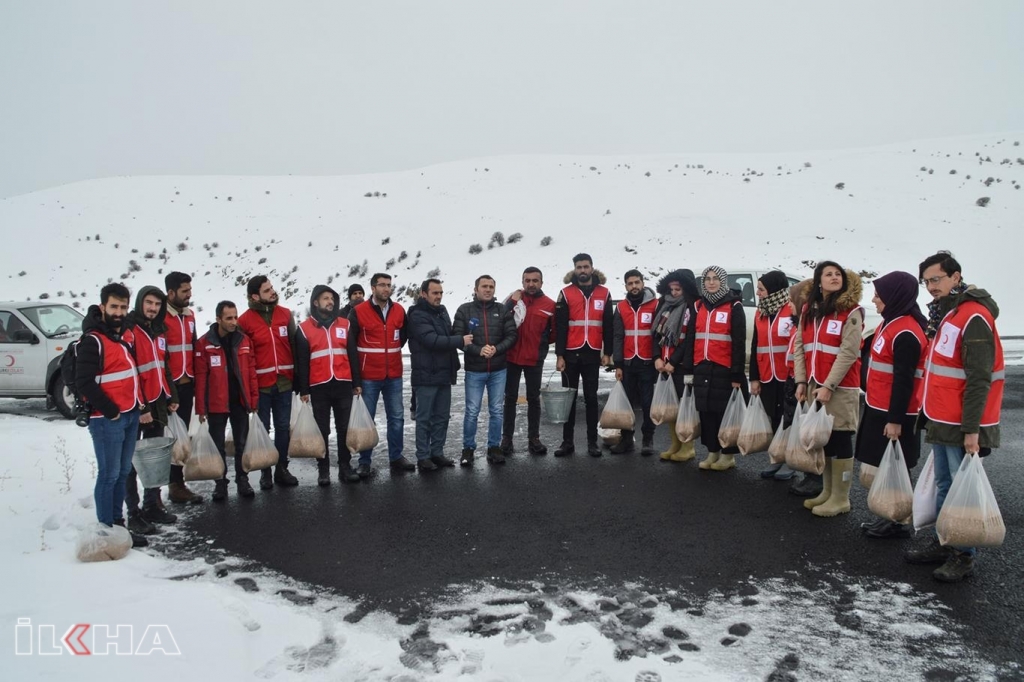 Doğa Koruma İl Müdürlüğü ve Kızılay ekipleri, Ağrı'da doğaya 15 ton yem bıraktı