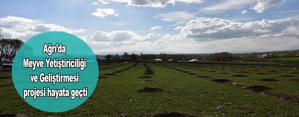 Ağrı’da Meyve Yetiştiriciliği ve Geliştirmesi projesi hayata geçti
