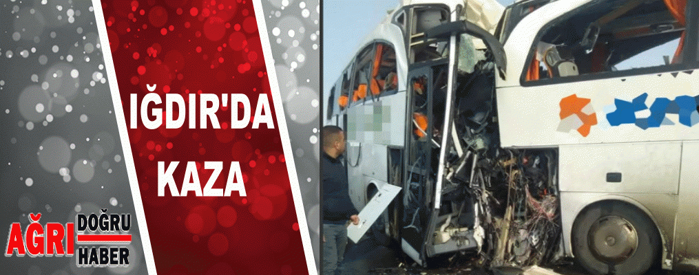 Yolcu otobüsleri çarpıştı: 8 ölü, 28 yaralı