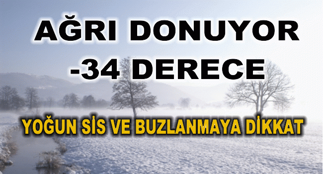 Ağrı'da dondurucu hava