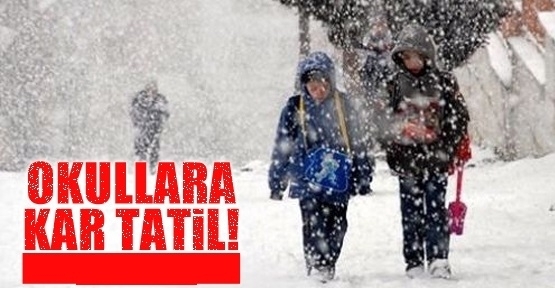 Ağrı'da Kar yağışı Okullar tatil