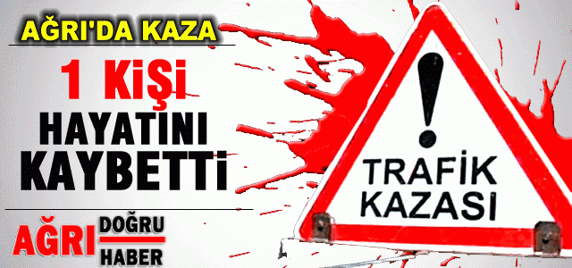 Ağrı'da Kaza 1 Ölü 1 Yaralı