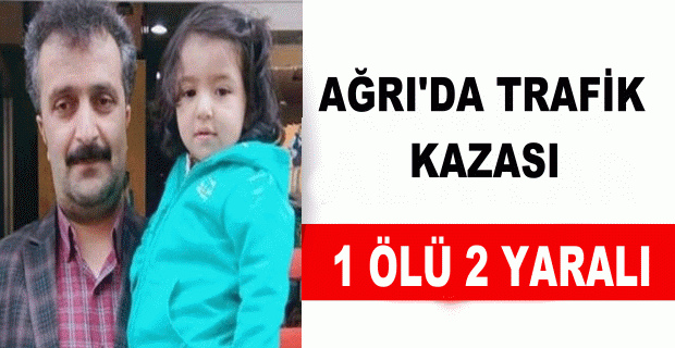 Ağrı'da kaza 1 ölü 2 yaralı