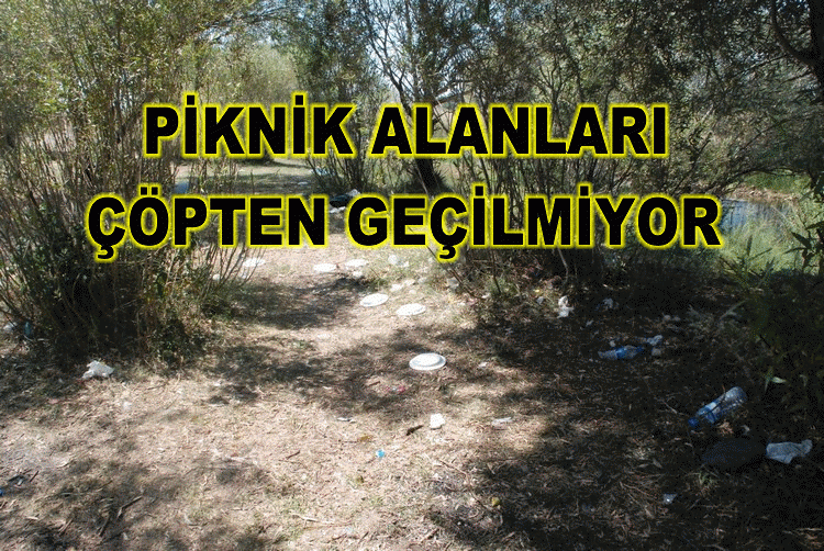 Baraj Yolu Piknik Alanları