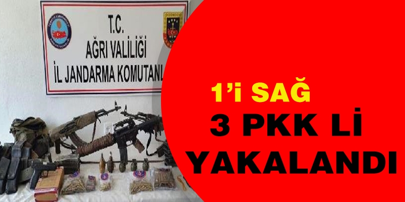 Ağrı'da 3 PKK li etkisiz hale getirildi