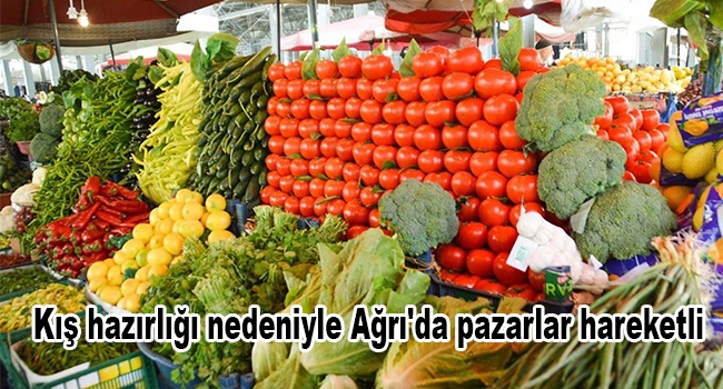 Kış hazırlığı nedeniyle Ağrı'da pazarlar hareketli