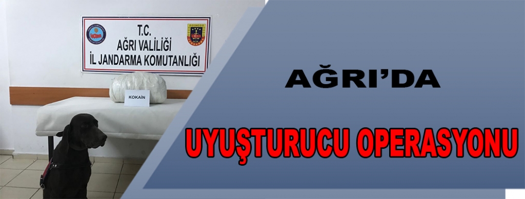 Ağrı'da uyuşturucu operasyonu