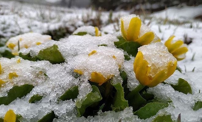 Kars'ta Mayıs ayında kar yağışı!