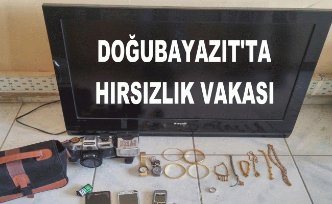 Doğubayazıt'ta hırsızlık olayı