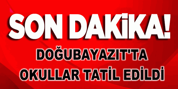Doğubayazıt'ta Okullar tatil edildi