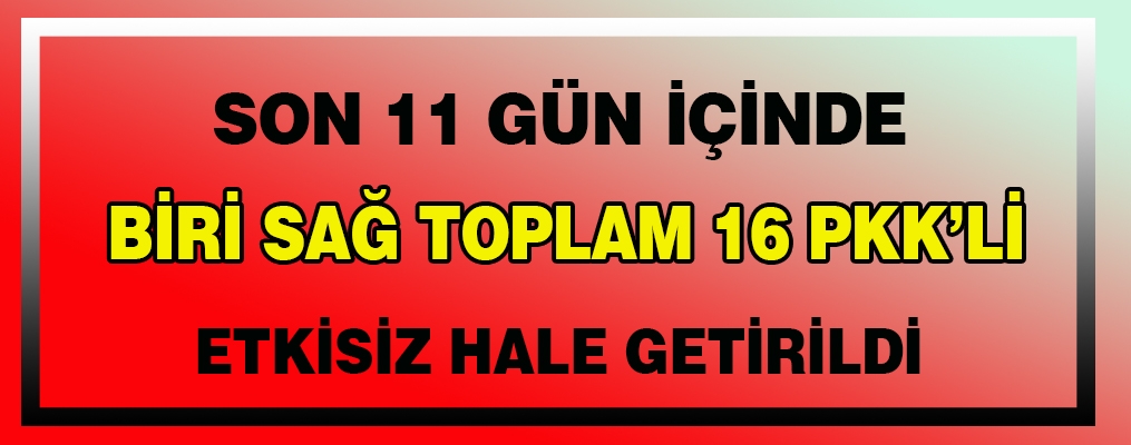 Son 11 günde 16 PKK mensubu etkisiz hale getirildi