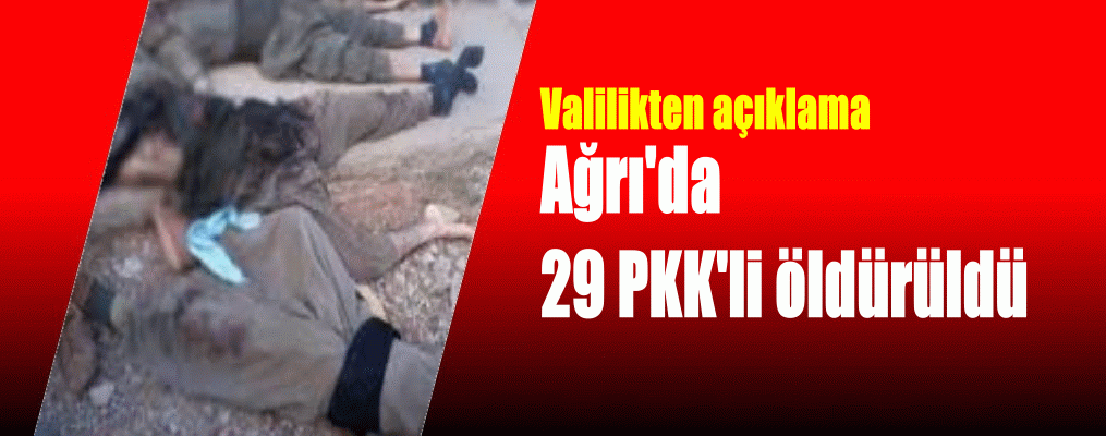 Ağrı'da 29 PKK'li öldürüldü