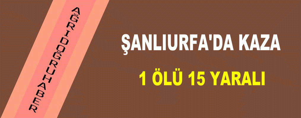 Şanlıurfa'da kaza 1 ölü 15 yaralı