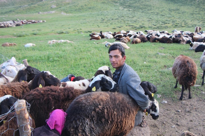 Göçerler yayla hayatından memnun