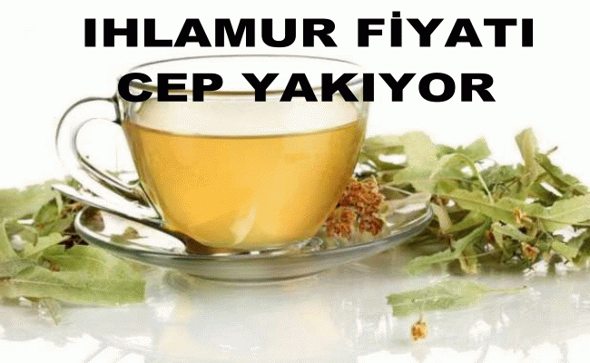 Ihlamurun fiyatı cep yakıyor