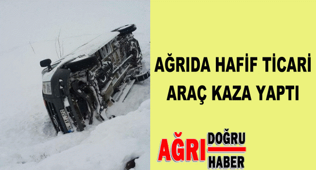 Ticari araç kaza yaptı