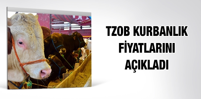 TZOB kurbanlık fiyatları açıklandı
